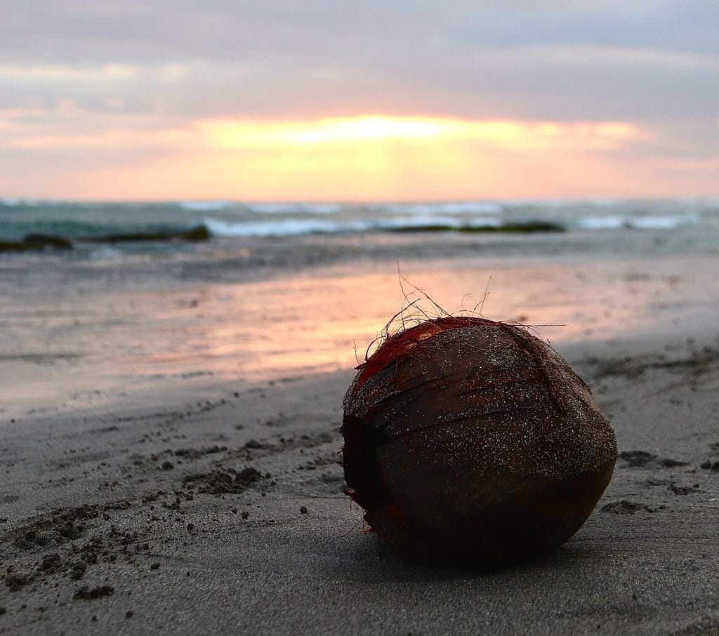 Canggu, Bali, Indonesia